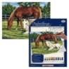 Kit ROYAL LANGNICKEL® Peinture au numero toile sur châssis - Chevaux au pré - Grand Format