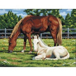 Kit ROYAL LANGNICKEL® Peinture au numero toile sur châssis - Chevaux au pré - Grand Format