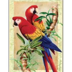 Kit ROYAL LANGNICKEL Peinture au numéro Junior Petit Format - Perroquets Bamboo