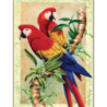 Kit ROYAL LANGNICKEL Peinture au numéro Junior Petit Format - Perroquets Bamboo