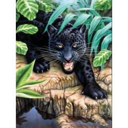 Kit ROYAL LANGNICKEL Peinture au numéro Junior Petit Format - Léopard Noir