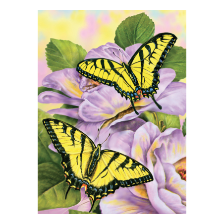 Kit ROYAL LANGNICKEL Peinture au numéro Junior Petit Format - Papillons Macaons