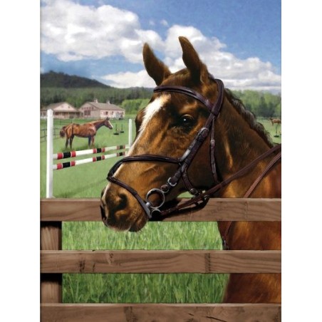 Kit ROYAL LANGNICKEL Peinture au numéro Junior Petit Format - Cheval au Paddock