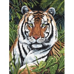 Kit ROYAL LANGNICKEL® Peinture au numero toile sur châssis - Tigre au repos - Petit format