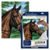 Kit ROYAL LANGNICKEL® Peinture au numero toile sur châssis - Portrait de cheval - Petit format
