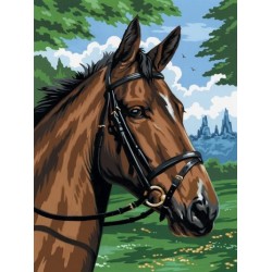 Kit ROYAL LANGNICKEL® Peinture au numero toile sur châssis - Portrait de cheval - Petit format