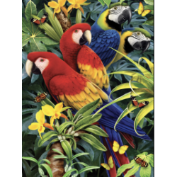 Kit ROYAL LANGNICKEL® Peinture par Numéro Coffret - 4 projets animaux exotiques
