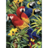 Kit ROYAL LANGNICKEL® Peinture par Numéro Coffret - 4 projets animaux exotiques