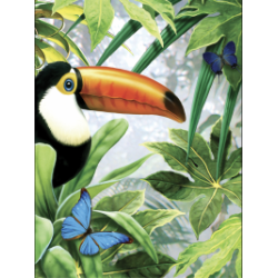 Kit ROYAL LANGNICKEL® Peinture par Numéro Coffret - 4 projets animaux exotiques