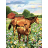 Kit ROYAL LANGNICKEL® Peinture par Numéro Coffret - 4 projets animaux de la campagne