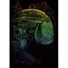Kit ROYAL LANGNICKEL® Gravure d'Art mini Arc-en-Ciel - Toucan