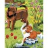 Kit ROYAL LANGNICKEL®  Coloriage au numero - Chiot et chaton