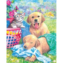 Kit ROYAL LANGNICKEL® Coloriage au numéro - Jour de lessive