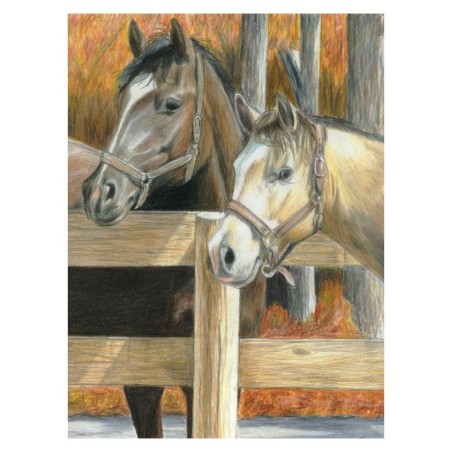 Kit ROYAL LANGNICKEL Coloriage au N° - Portrait de chevaux