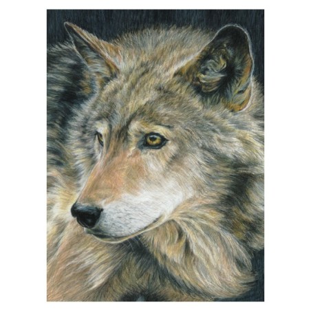 Kit ROYAL LANGNICKEL® Coloriage au numéro - Portrait de Loup