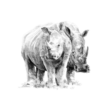 Kit ROYAL LANGNICKEL® Croquis - Esquisse Rhinocéros