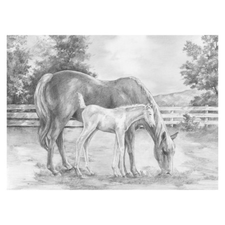Kit ROYAL LANGNICKEL® Maxi Croquis - Esquisse Chevaux au pré