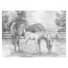 Kit ROYAL LANGNICKEL® Croquis - Esquisse Chevaux au pré