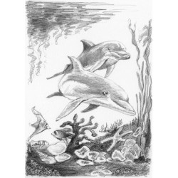 Kit ROYAL LANGNICKEL® Sketching mini - Esquisse les Dauphins
