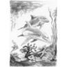 Kit ROYAL LANGNICKEL® Sketching mini - Esquisse les Dauphins