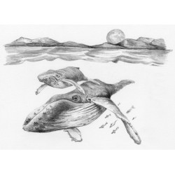 Kit ROYAL LANGNICKEL® Sketching mini - Esquisse Maman Baleine & son petit