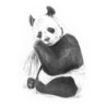 Kit ROYAL LANGNICKEL® Sketching mini - Esquisse Panda
