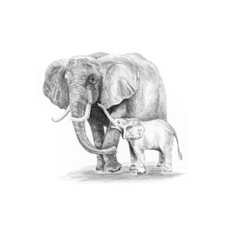 Kit ROYAL LANGNICKEL® Sketching mini - Esquisse Maman Eléphant et son Petit