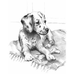 Coffret pour esquisse et croquis ROYAL LANGNICKEL® - 4 projets Chiens et Chevaux