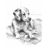 Coffret pour esquisse et croquis ROYAL LANGNICKEL® - 4 projets Chiens et Chevaux