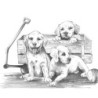 Coffret pour esquisse et croquis ROYAL LANGNICKEL® - 4 projets Chiens et Chevaux