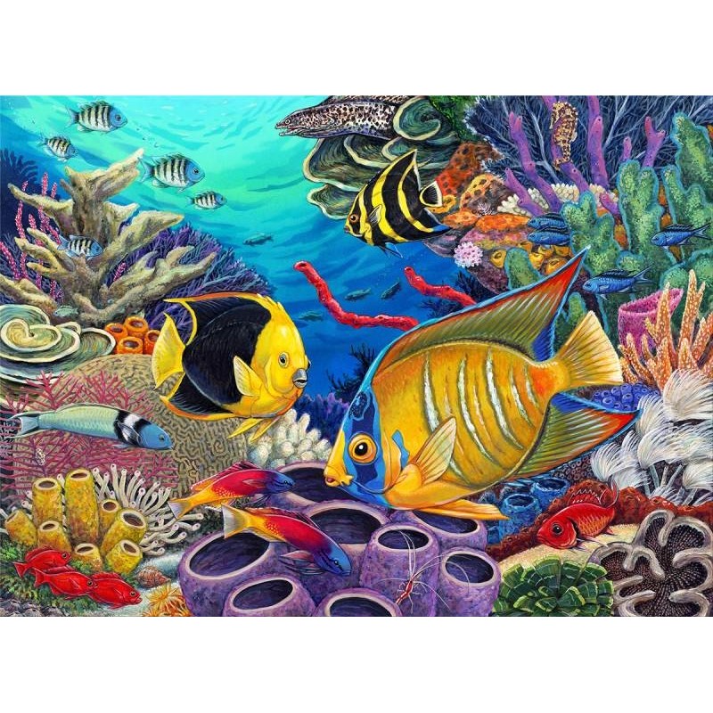 Kit ROYAL LANGNICKEL® Peinture au numéro Junior Grand Format - Faune dans la barrière de corail