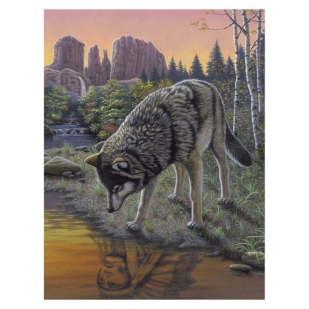 Kit ROYAL LANGNICKEL Peinture au numéro Junior Petit Format - Le loup et son reflet