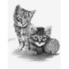 Kit ROYAL LANGNICKEL® Croquis - Esquisse Chatons