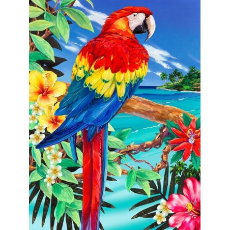 Kit ROYAL LANGNICKEL Peinture au numéro Junior Petit Format - Le perroquet et la plage