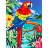 Kit ROYAL LANGNICKEL Peinture au numéro Junior Petit Format - Le perroquet et la plage