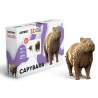 Capybara - Cartonic®