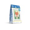 Kit DIAMOND DOTZ® avec cadre Le renard des bois