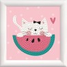 Chaton pastèque_DD1/059F