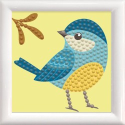 Petit oiseau_DDS/036F