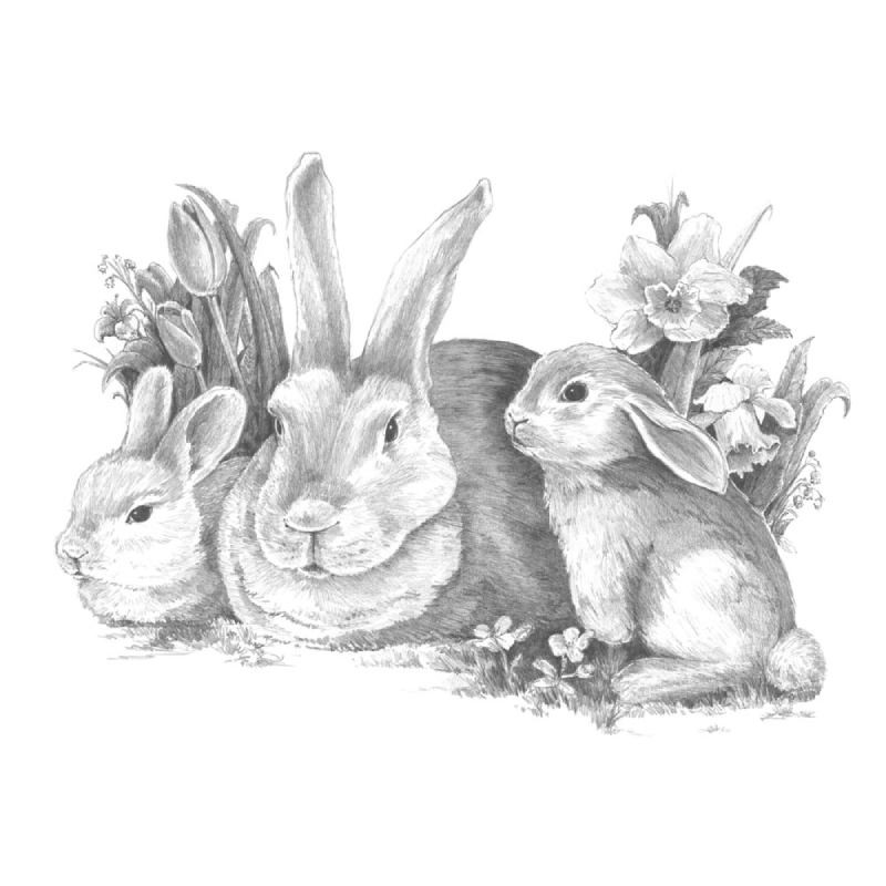 Kit ROYAL LANGNICKEL® Maxi Croquis - Esquisse Lapine et ses petits