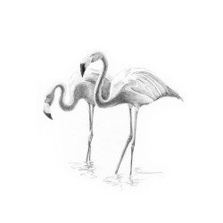 SKMIN109_Flamants roses
