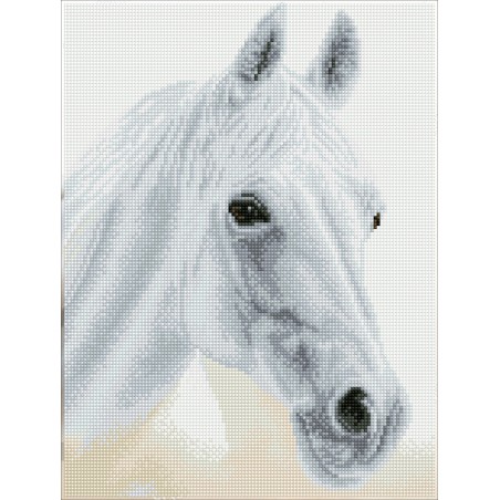 DIAMOND DOTZ® Carré Cheval blanc - Intermédiaire
