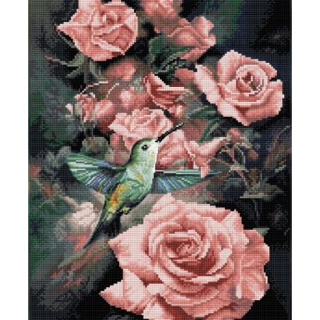 Coffret Master Class - Le colibri parmi les roses