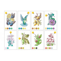 CARTES COLORIAGE CHAMELEON PENS - THÈME NATURE