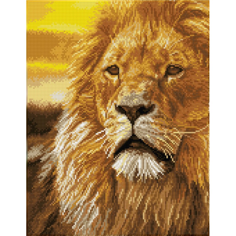DIAMOND DOTZ® Carré Roi lion - Intermédiaire - Sans cadre