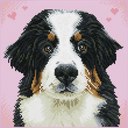 DIAMOND DOTZ® Carré ZuZu le Chien