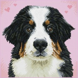 DIAMOND DOTZ® Carré ZuZu le Chien - Intermédiaire - Avec cadre
