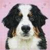 DIAMOND DOTZ® Carré ZuZu le Chien - Intermédiaire - Avec cadre