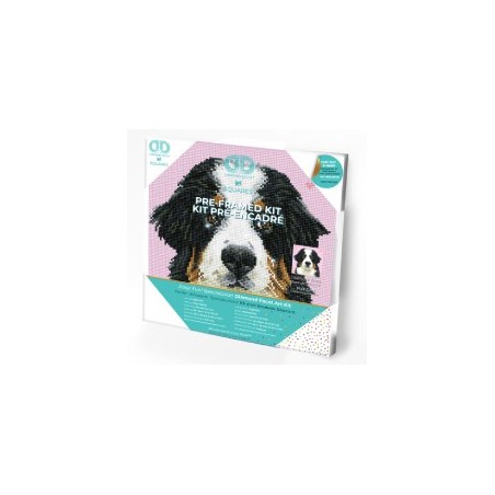 DIAMOND DOTZ® Carré ZuZu le Chien - Intermédiaire - Avec cadre