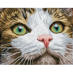 Kit DIAMOND DOTZ® Chat aux...